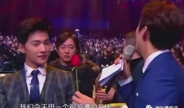 杨洋爆料视频大全集最新,揭秘明星幕后故事与成长历程